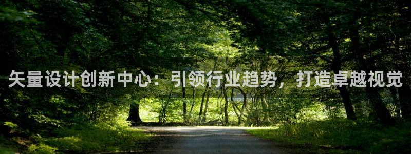 矢量设计创新中心：引领行业趋势，打造卓越视觉