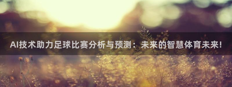 AI技术助力足球比赛分析与预测：未来的智慧体育未来!