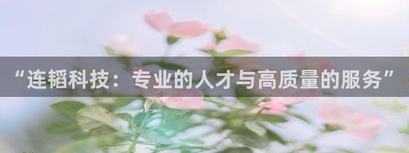 “连韬科技：专业的人才与高质量的服务”