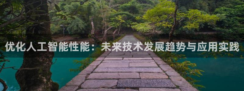 优化人工智能性能：未来技术发展趋势与应用实践