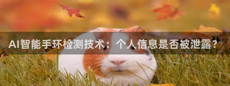 AI智能手环检测技术：个人信息是否被泄露？
