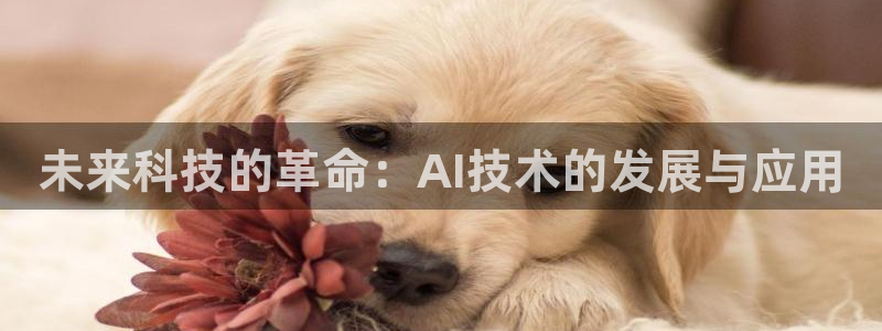 未来科技的革命：AI技术的发展与应用