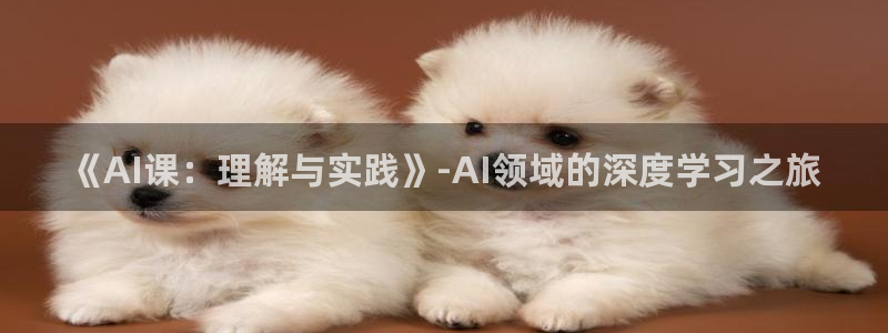 《AI课：理解与实践》-AI领域的深度学习之旅