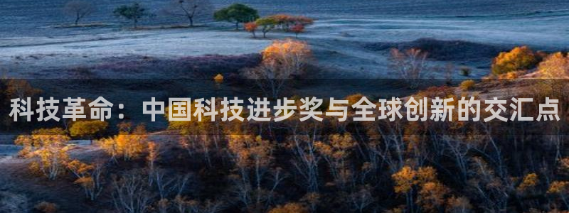 科技革命：中国科技进步奖与全球创新的交汇点