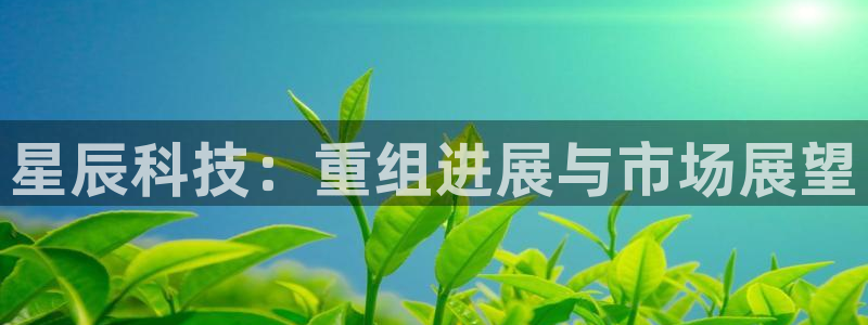 星辰科技：重组进展与市场展望