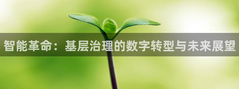 智能革命：基层治理的数字转型与未来展望