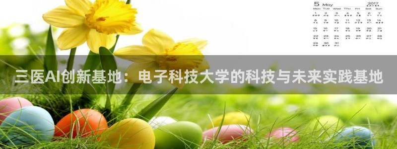 三医AI创新基地：电子科技大学的科技与未来实践基地