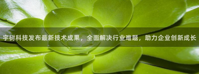 宇树科技发布最新技术成果，全面解决行业难题，助力企业创新成长