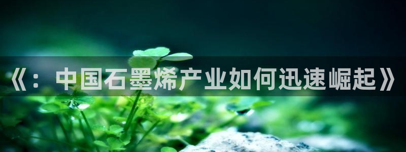 《：中国石墨烯产业如何迅速崛起》
