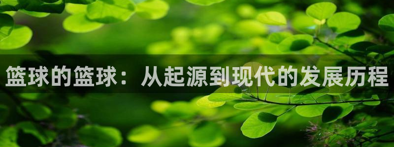 篮球的篮球：从起源到现代的发展历程
