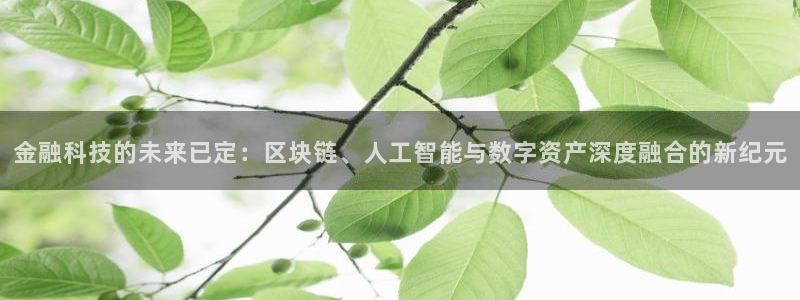 金融科技的未来已定：区块链、人工智能与数字资产深度融合的新纪元