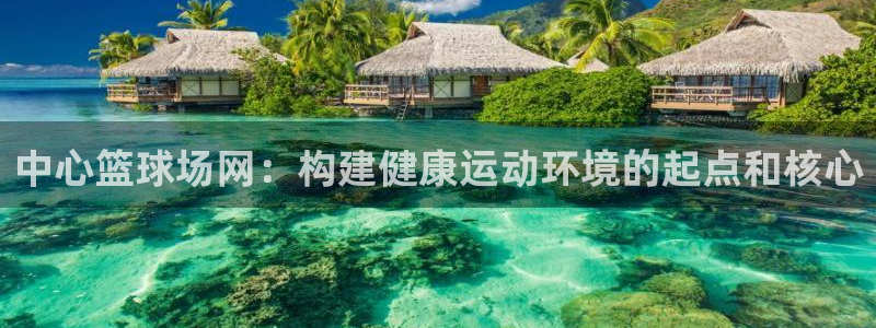 中心篮球场网：构建健康运动环境的起点和核心