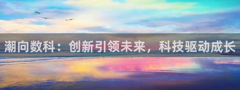 潮向数科：创新引领未来，科技驱动成长