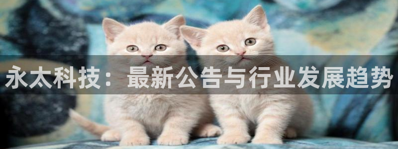 永太科技：最新公告与行业发展趋势