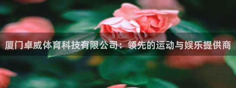 厦门卓威体育科技有限公司：领先的运动与娱乐提供商
