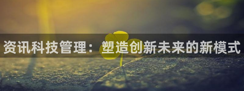 资讯科技管理：塑造创新未来的新模式