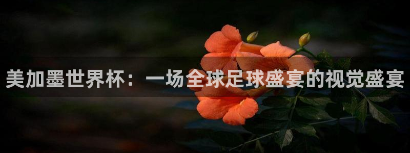 美加墨世界杯：一场全球足球盛宴的视觉盛宴