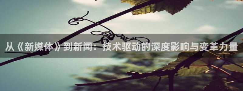 从《新媒体》到新闻：技术驱动的深度影响与变革力量