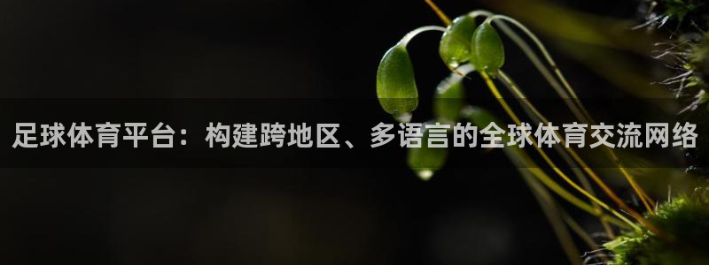 足球体育平台：构建跨地区、多语言的全球体育交流网络