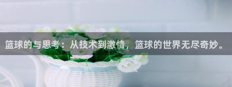 篮球的与思考：从技术到激情，篮球的世界无尽奇妙。