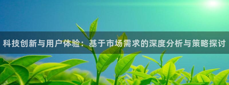 科技创新与用户体验：基于市场需求的深度分析与策略探讨