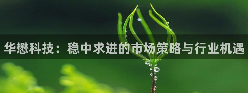 华懋科技：稳中求进的市场策略与行业机遇
