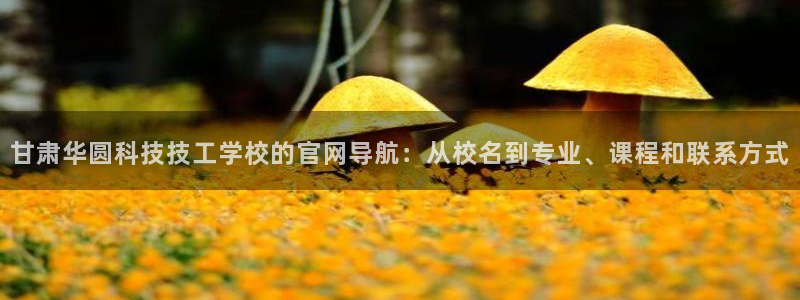 甘肃华圆科技技工学校的官网导航：从校名到专业、课程和联系方式