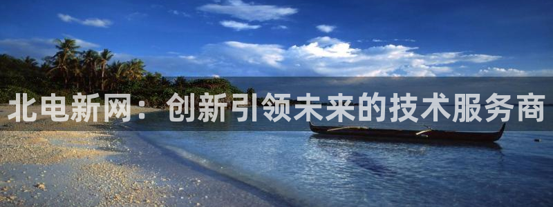 北电新网：创新引领未来的技术服务商
