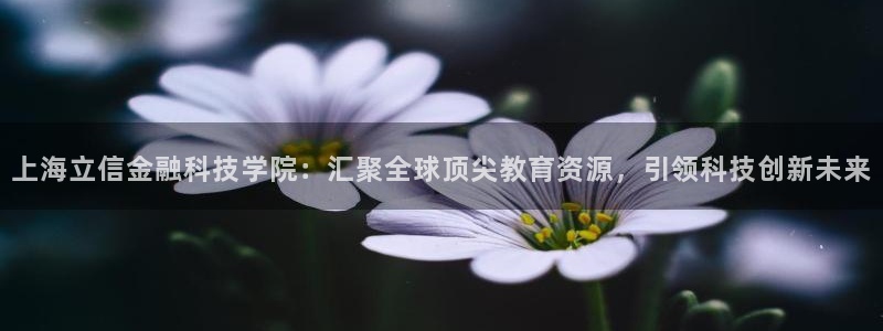 上海立信金融科技学院：汇聚全球顶尖教育资源，引领科技创新未来